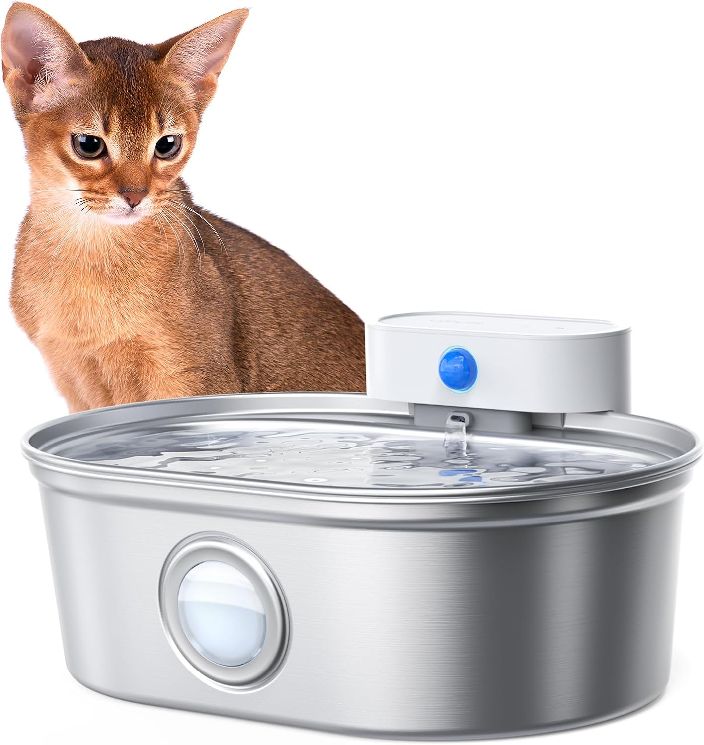 Wireless stainless steel cat fountain